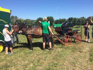 Uspehi srediških konjenikov na hrvaškem 3